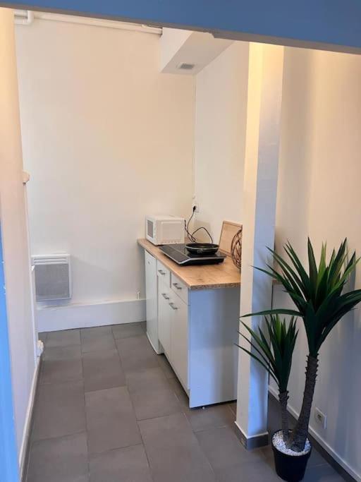 Appartement Idealement Situe Montereau-faut-Yonne Buitenkant foto